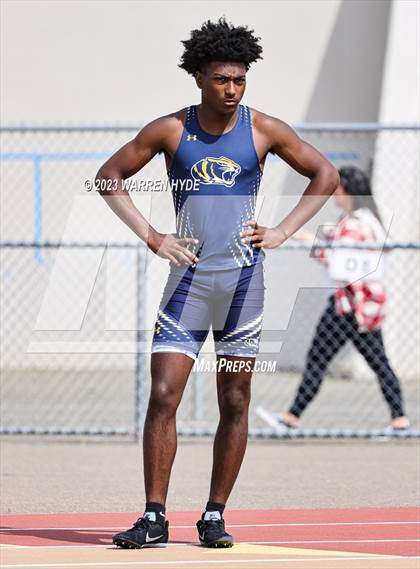 Thumbnail 3 in Herd Roundup @ Elk Grove photogallery.