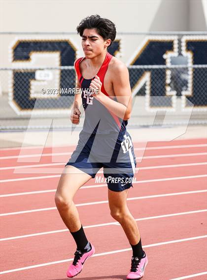 Thumbnail 2 in Herd Roundup @ Elk Grove photogallery.