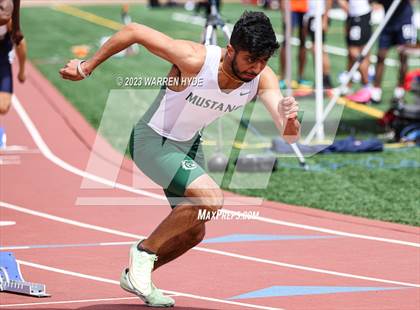 Thumbnail 3 in Herd Roundup @ Elk Grove photogallery.