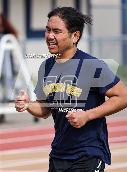 Thumbnail 1 in Herd Roundup @ Elk Grove photogallery.