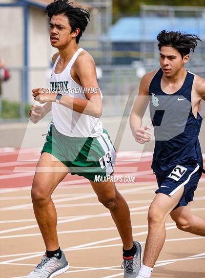 Thumbnail 3 in Herd Roundup @ Elk Grove photogallery.