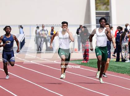 Thumbnail 2 in Herd Roundup @ Elk Grove photogallery.