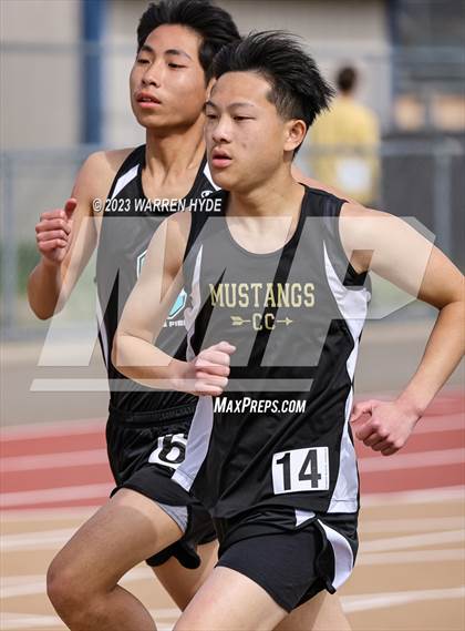 Thumbnail 1 in Herd Roundup @ Elk Grove photogallery.