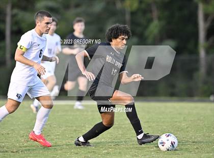 Thumbnail 1 in Panther Creek @ Holly Springs photogallery.