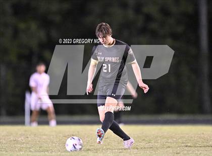 Thumbnail 1 in Panther Creek @ Holly Springs photogallery.
