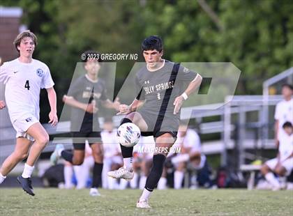 Thumbnail 3 in Panther Creek @ Holly Springs photogallery.