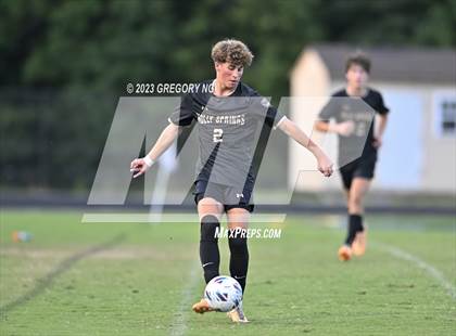 Thumbnail 2 in Panther Creek @ Holly Springs photogallery.