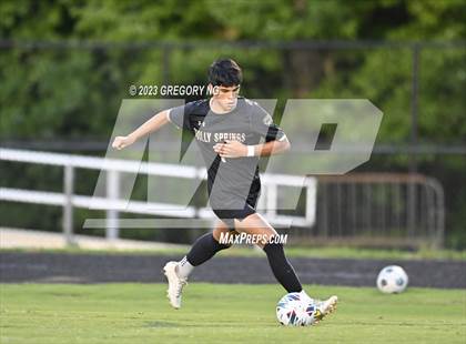 Thumbnail 2 in Panther Creek @ Holly Springs photogallery.