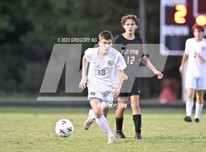 Thumbnail 2 in Panther Creek @ Holly Springs photogallery.