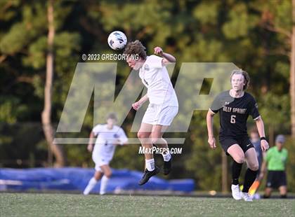Thumbnail 2 in Panther Creek @ Holly Springs photogallery.