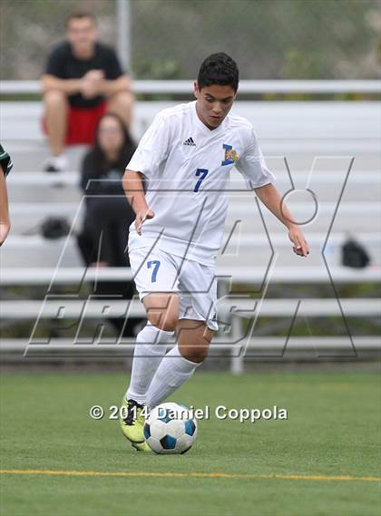 Thumbnail 1 in Queen of Peace @ Lyndhurst photogallery.