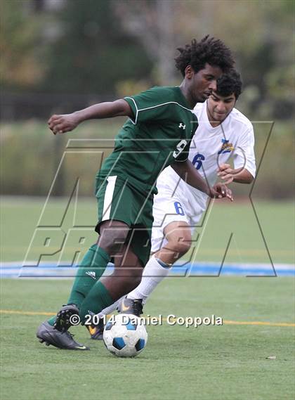 Thumbnail 3 in Queen of Peace @ Lyndhurst photogallery.