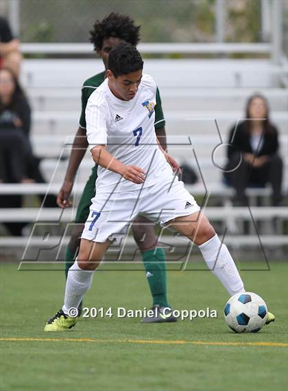 Thumbnail 3 in Queen of Peace @ Lyndhurst photogallery.