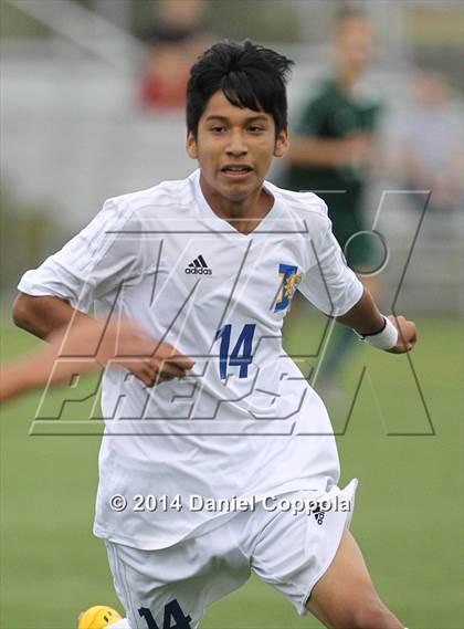 Thumbnail 1 in Queen of Peace @ Lyndhurst photogallery.