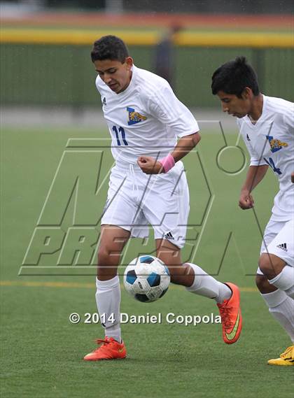 Thumbnail 1 in Queen of Peace @ Lyndhurst photogallery.