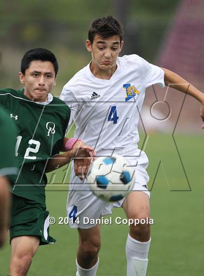 Thumbnail 2 in Queen of Peace @ Lyndhurst photogallery.