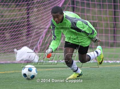 Thumbnail 3 in Queen of Peace @ Lyndhurst photogallery.