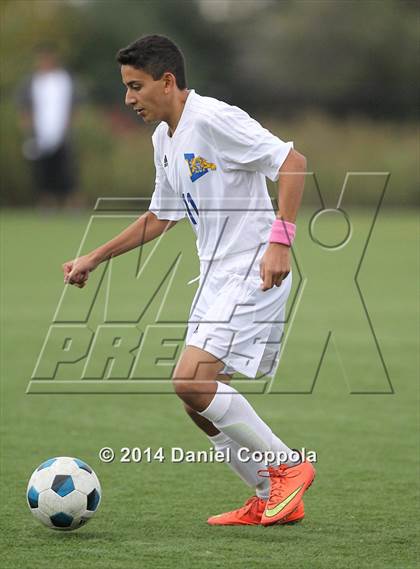 Thumbnail 3 in Queen of Peace @ Lyndhurst photogallery.