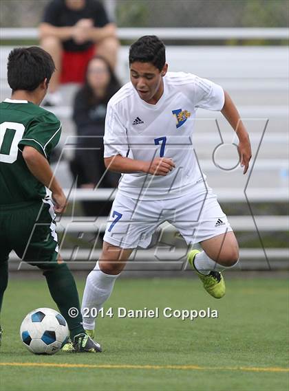 Thumbnail 2 in Queen of Peace @ Lyndhurst photogallery.