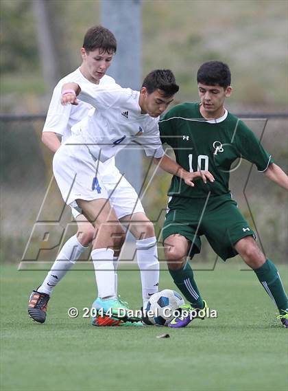 Thumbnail 2 in Queen of Peace @ Lyndhurst photogallery.