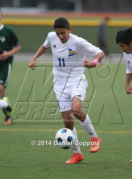 Thumbnail 2 in Queen of Peace @ Lyndhurst photogallery.