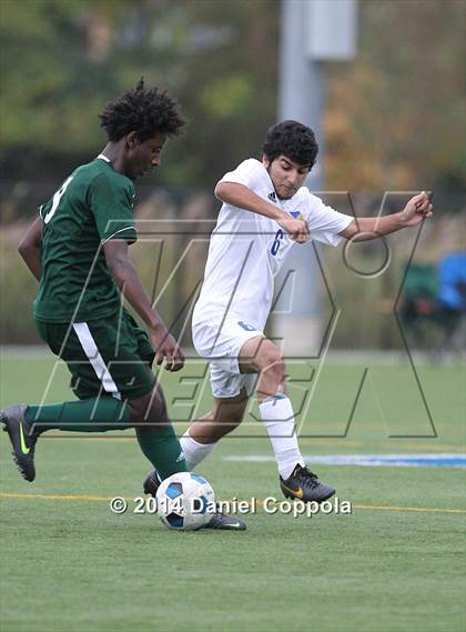 Thumbnail 2 in Queen of Peace @ Lyndhurst photogallery.