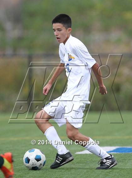 Thumbnail 1 in Queen of Peace @ Lyndhurst photogallery.