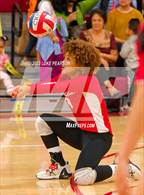 Photo from the gallery "Laguna Creek @ McClatchy"