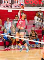 Photo from the gallery "Laguna Creek @ McClatchy"