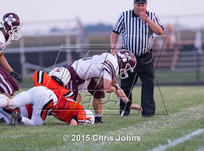 Thumbnail 3 in Red Bud @ Wesclin photogallery.