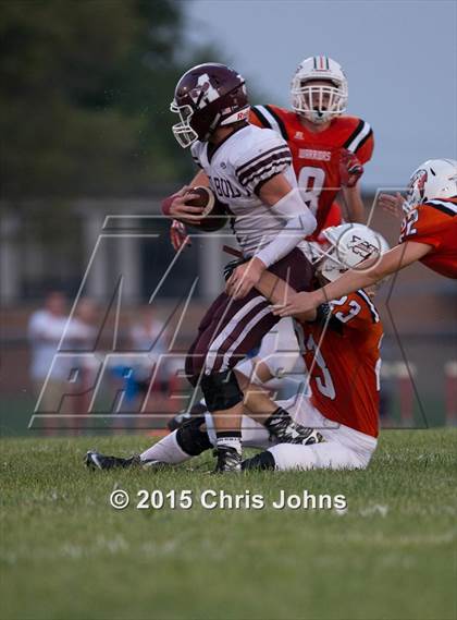 Thumbnail 1 in Red Bud @ Wesclin photogallery.