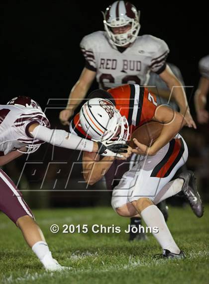 Thumbnail 1 in Red Bud @ Wesclin photogallery.
