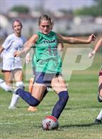 Photo from the gallery "Maple Mountain @ Syracuse"