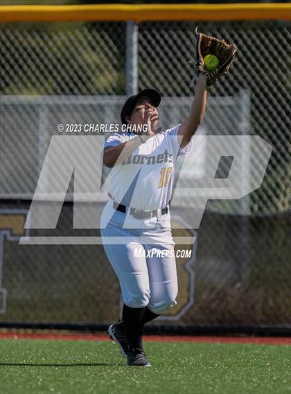 Thumbnail 3 in Redwood vs Novato photogallery.