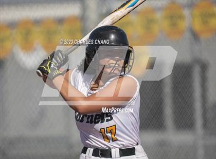 Thumbnail 2 in Redwood vs Novato photogallery.