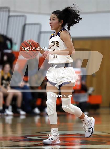 Thumbnail 2 in Sealy vs La Grange (Schulenburg Lady Horn Varsity Tournament) photogallery.