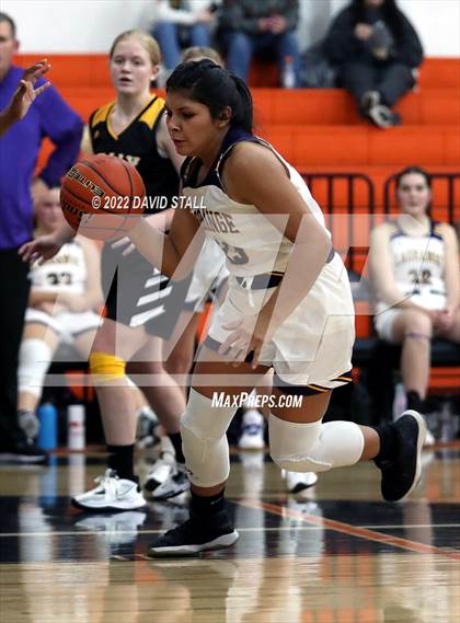 Thumbnail 1 in Sealy vs La Grange (Schulenburg Lady Horn Varsity Tournament) photogallery.