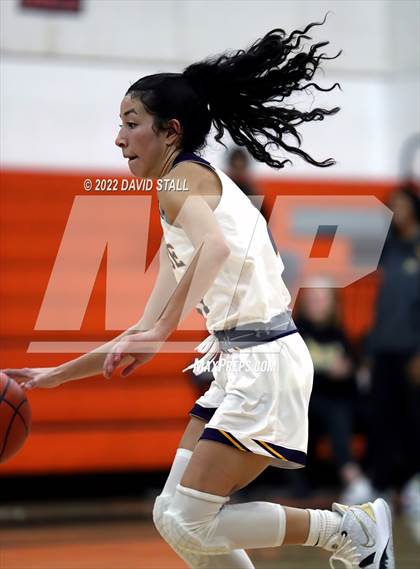 Thumbnail 1 in Sealy vs La Grange (Schulenburg Lady Horn Varsity Tournament) photogallery.