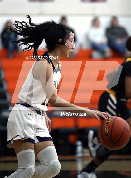 Thumbnail 2 in Sealy vs La Grange (Schulenburg Lady Horn Varsity Tournament) photogallery.