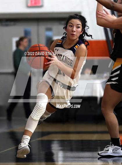 Thumbnail 2 in Sealy vs La Grange (Schulenburg Lady Horn Varsity Tournament) photogallery.