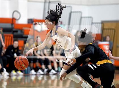 Thumbnail 3 in Sealy vs La Grange (Schulenburg Lady Horn Varsity Tournament) photogallery.