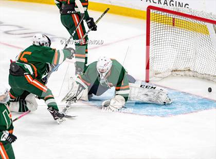 Thumbnail 3 in Hopkinton vs Wachusett Regional (MIAA Division 3 State Final) photogallery.