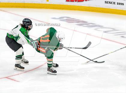Thumbnail 1 in Hopkinton vs Wachusett Regional (MIAA Division 3 State Final) photogallery.