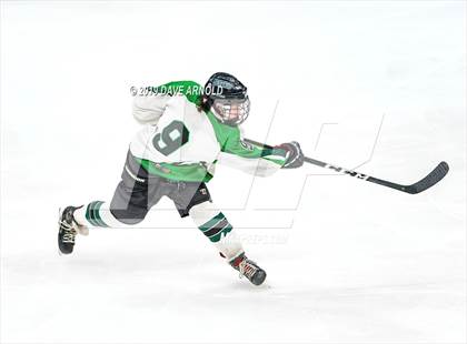 Thumbnail 2 in Hopkinton vs Wachusett Regional (MIAA Division 3 State Final) photogallery.