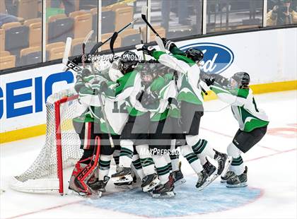 Thumbnail 2 in Hopkinton vs Wachusett Regional (MIAA Division 3 State Final) photogallery.