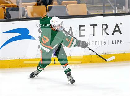 Thumbnail 1 in Hopkinton vs Wachusett Regional (MIAA Division 3 State Final) photogallery.