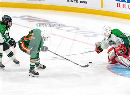 Thumbnail 2 in Hopkinton vs Wachusett Regional (MIAA Division 3 State Final) photogallery.
