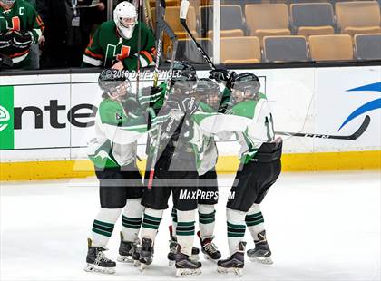 Thumbnail 1 in Hopkinton vs Wachusett Regional (MIAA Division 3 State Final) photogallery.