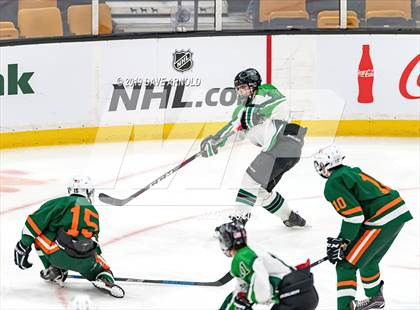 Thumbnail 3 in Hopkinton vs Wachusett Regional (MIAA Division 3 State Final) photogallery.