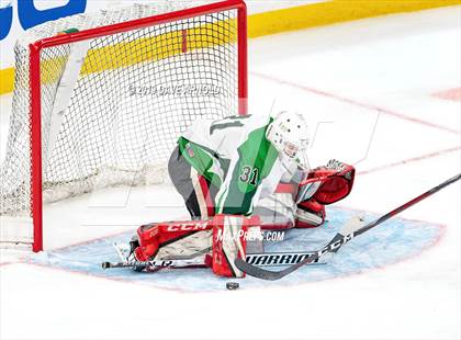 Thumbnail 2 in Hopkinton vs Wachusett Regional (MIAA Division 3 State Final) photogallery.